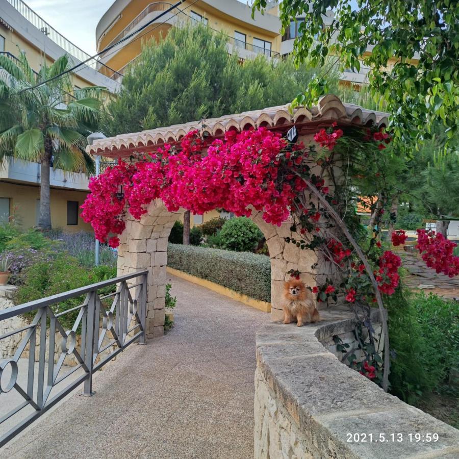 Apartamento Con Piscina A Unos Metros De La Playa Moraira Buitenkant foto